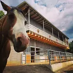 Gutschi Ranch Apartment *