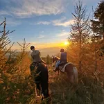 דירה Gutschi Ranch