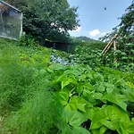 アパート Gutschi Ranch Kamp