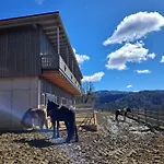 Gutschi Ranch *