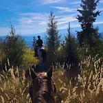 Gutschi Ranch