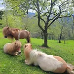 Gutschi Ranch * Kamp