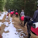 דירה Gutschi Ranch