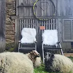 Gutschi Ranch דירה Kamp