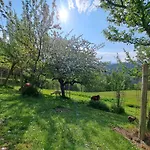 Gutschi Ranch דירה Kamp