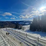 Gutschi Ranch דירה Kamp