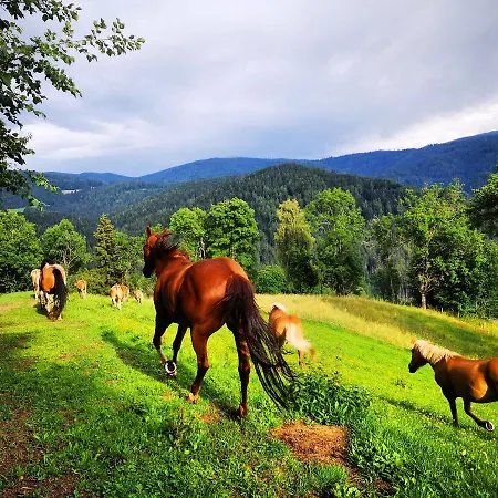 Apartamento Gutschi Ranch