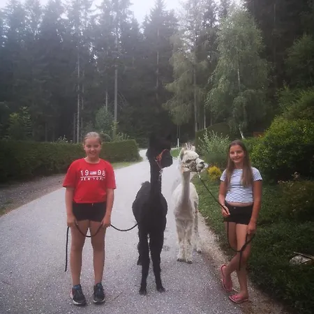 Apartman Gutschi Ranch