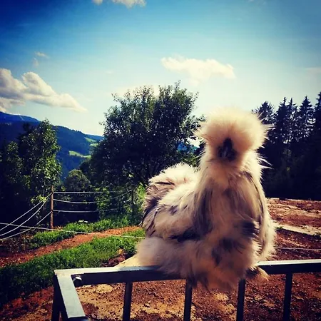 Gutschi Ranch * Kamp