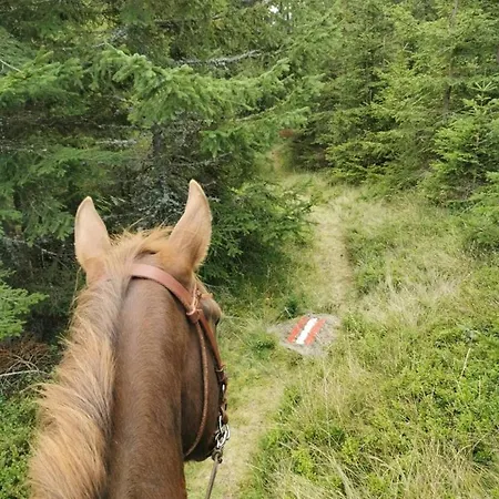 Апартаменты Gutschi Ranch *