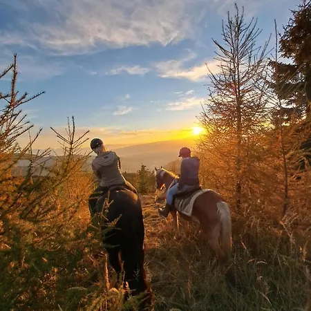아파트 Gutschi Ranch