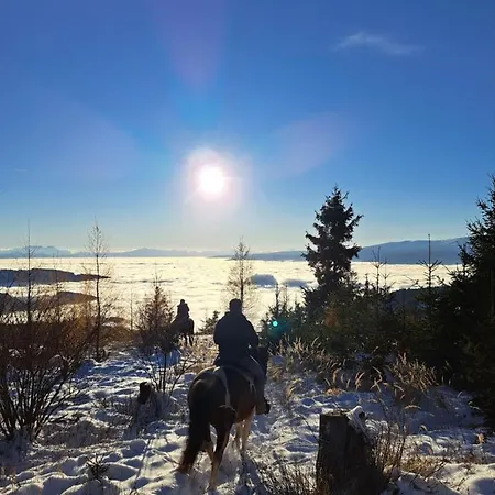 Gutschi Ranch Камп