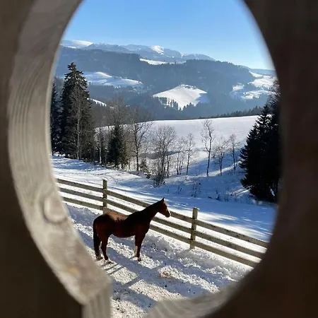 Апартаменты Gutschi Ranch Камп