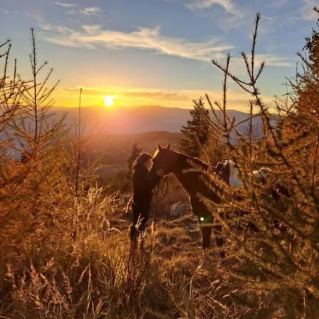 Gutschi Ranch Апартаменты *