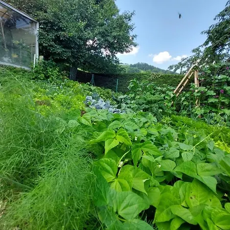 아파트 Gutschi Ranch Kamp