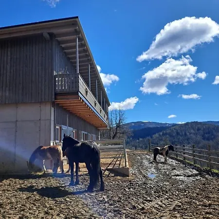 Gutschi Ranch *