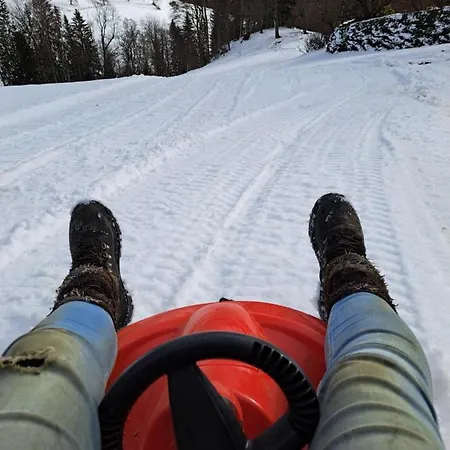 Апартаменты Gutschi Ranch