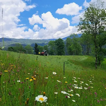 Apartamento Gutschi Ranch