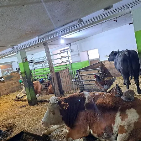 Gutschi Ranch Апартаменты Камп