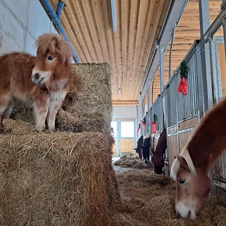 Gutschi Ranch