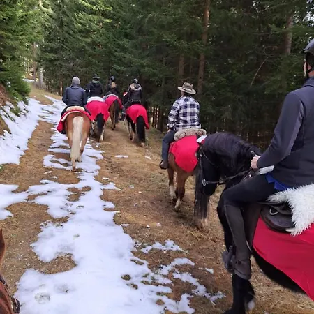 아파트 Gutschi Ranch