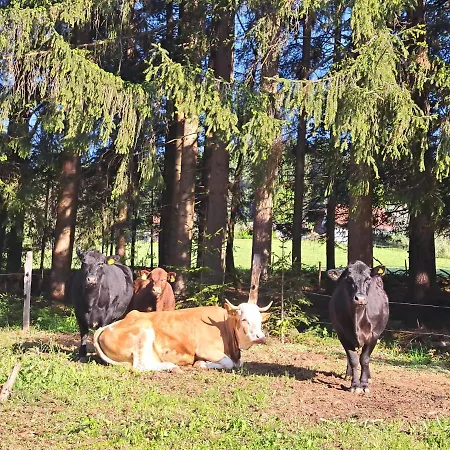 Gutschi Ranch *