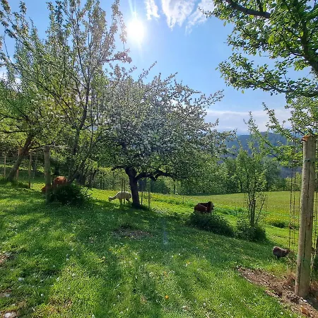 Gutschi Ranch Apartman Kamp