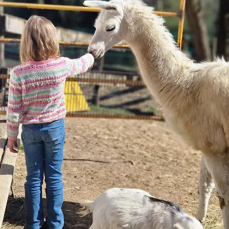 Gutschi Ranch דירה