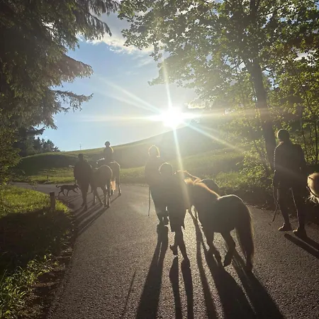 Gutschi Ranch Kamp