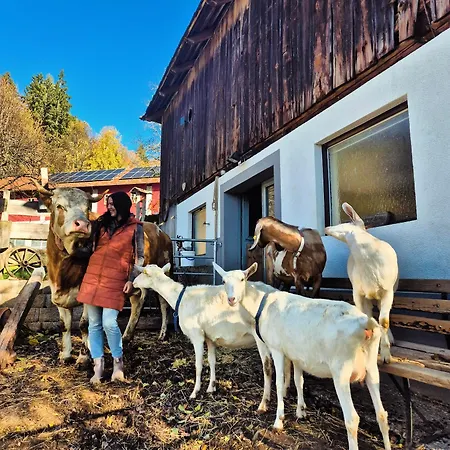 Gutschi Ranch