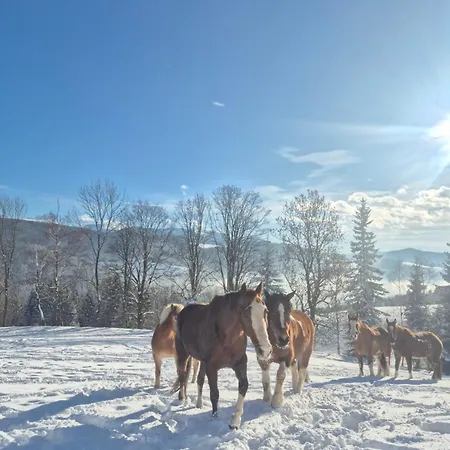 דירה Gutschi Ranch