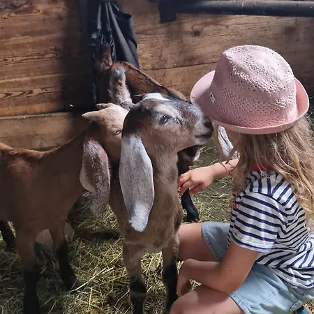 Gutschi Ranch Kamp