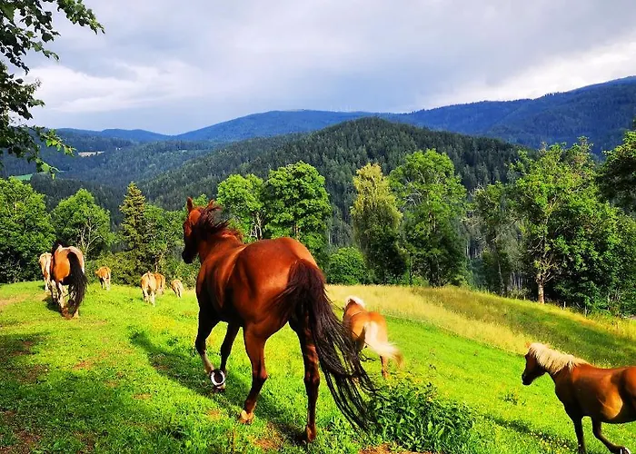 Appartamento Gutschi Ranch