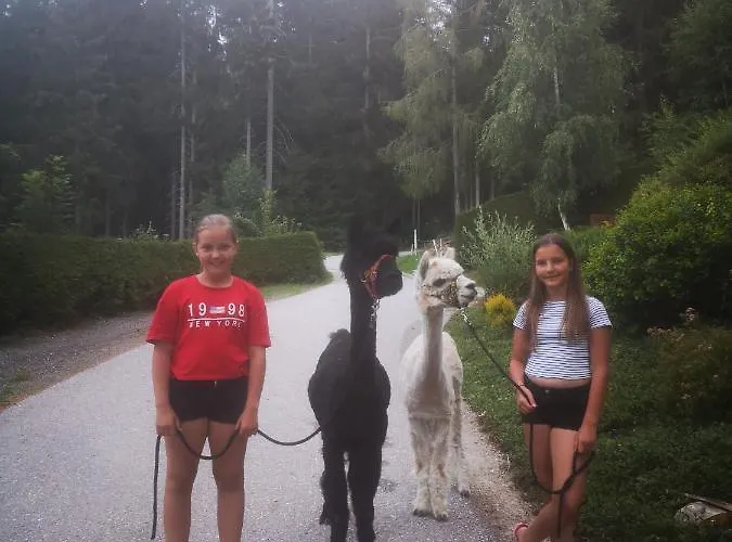 Appartamento Gutschi Ranch