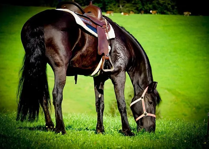 Appartamento Gutschi Ranch