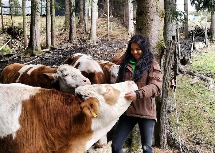 Gutschi Ranch Appartamento Kamp