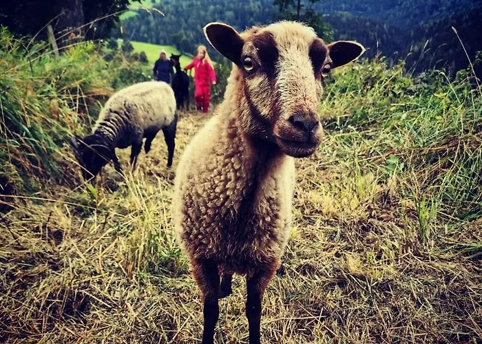 Gutschi Ranch Appartamento