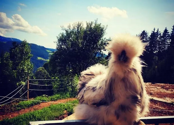 Gutschi Ranch * Kamp