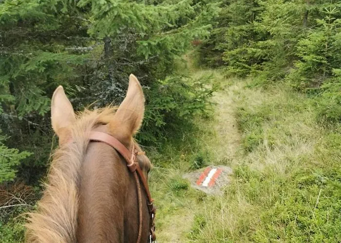 Appartamento Gutschi Ranch *