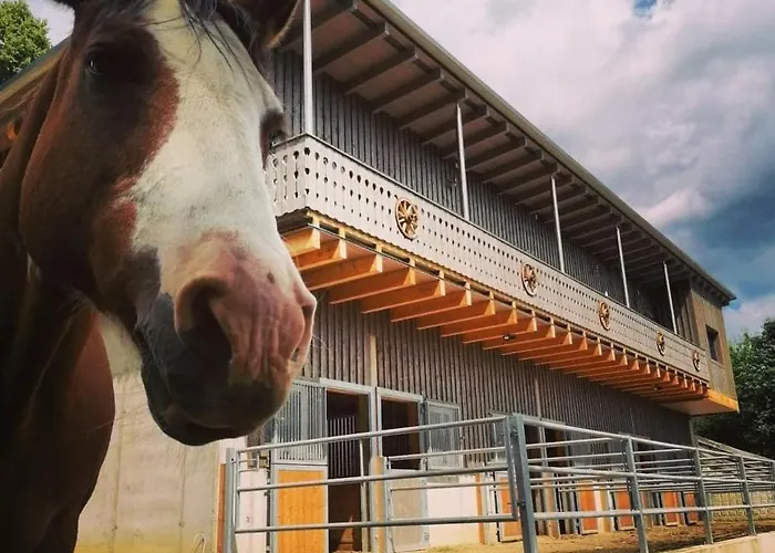 Gutschi Ranch Appartamento *