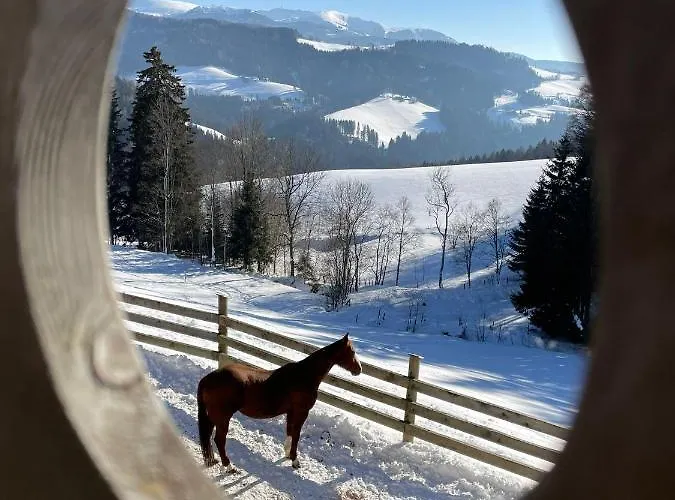 Appartamento Gutschi Ranch Kamp