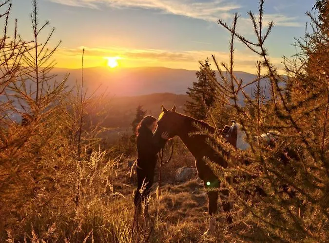 Gutschi Ranch Appartamento *