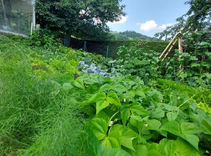 Appartamento Gutschi Ranch Kamp