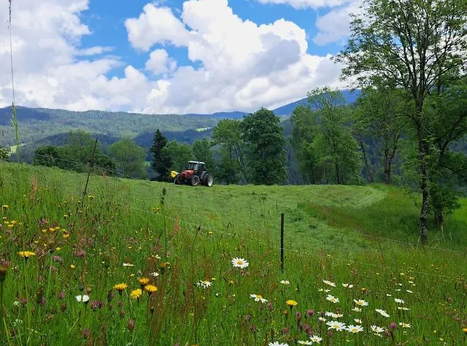 Appartamento Gutschi Ranch