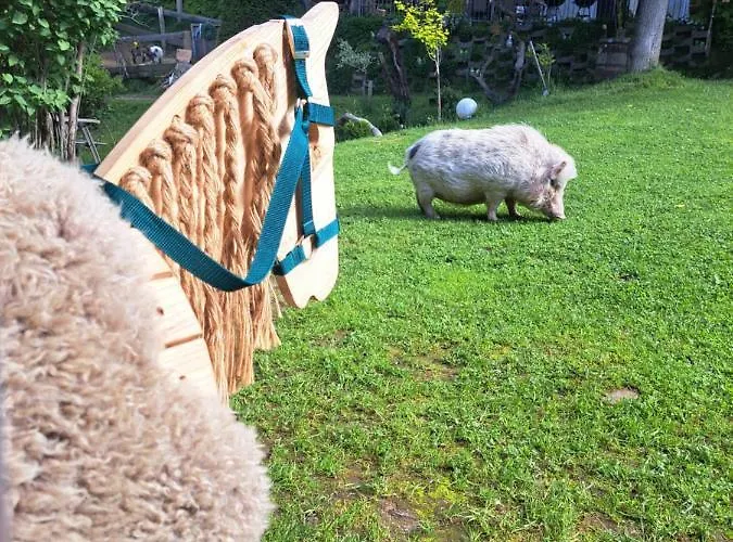 Appartamento Gutschi Ranch Kamp