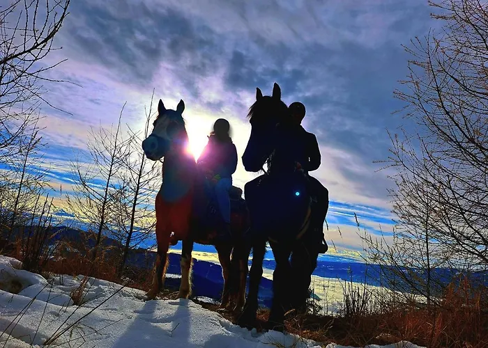 Gutschi Ranch Appartamento