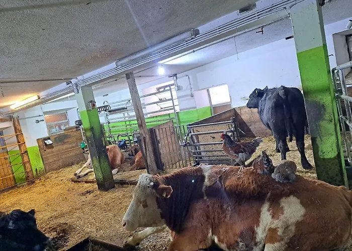 Gutschi Ranch Appartamento Kamp