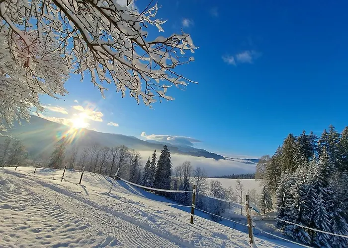 Gutschi Ranch * Kamp