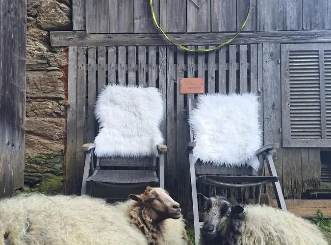 Gutschi Ranch Apartment Kamp