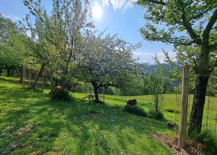 Gutschi Ranch Appartamento Kamp